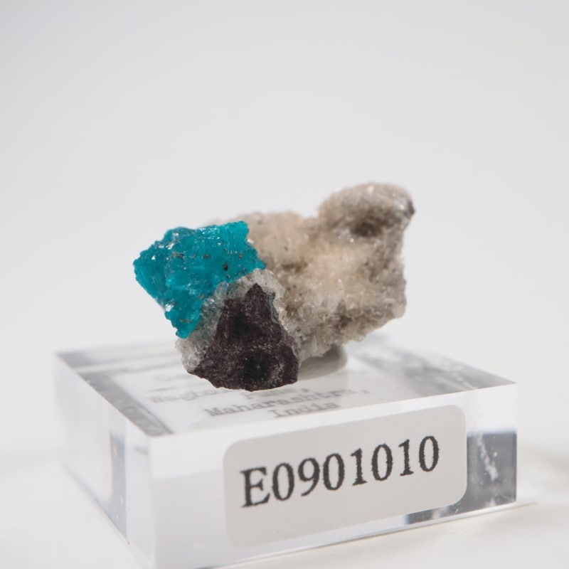 ����ɻ� ���Х󥵥���