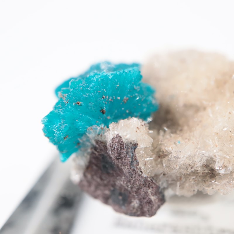 ����ɻ� ���Х󥵥���