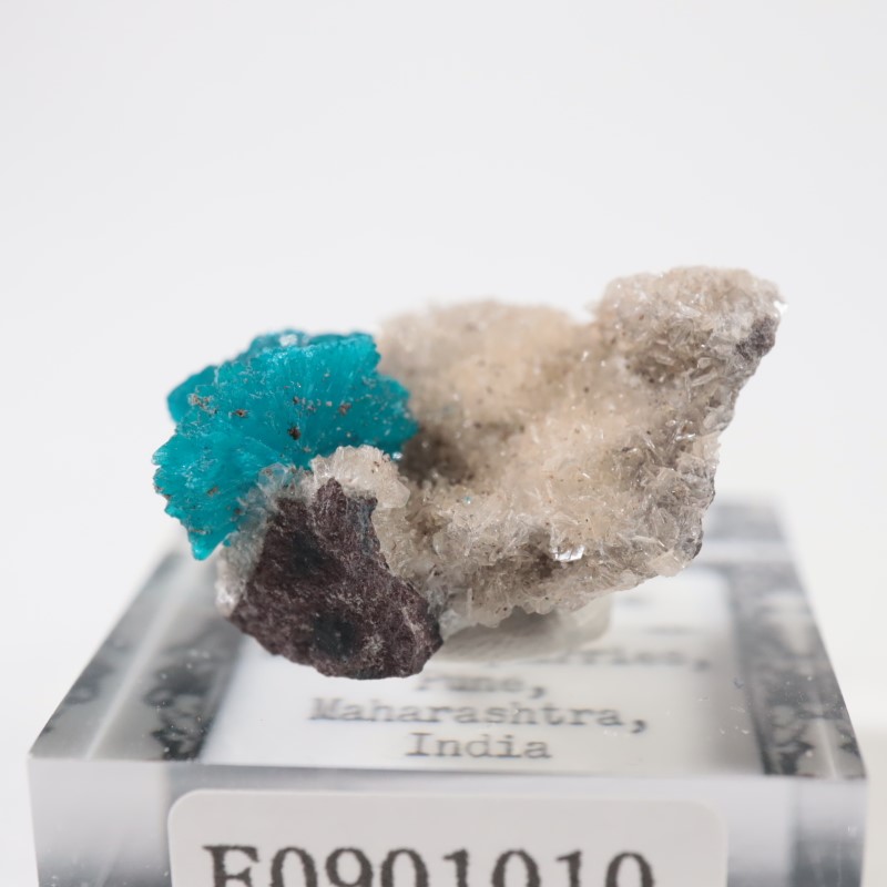 ����ɻ� ���Х󥵥���