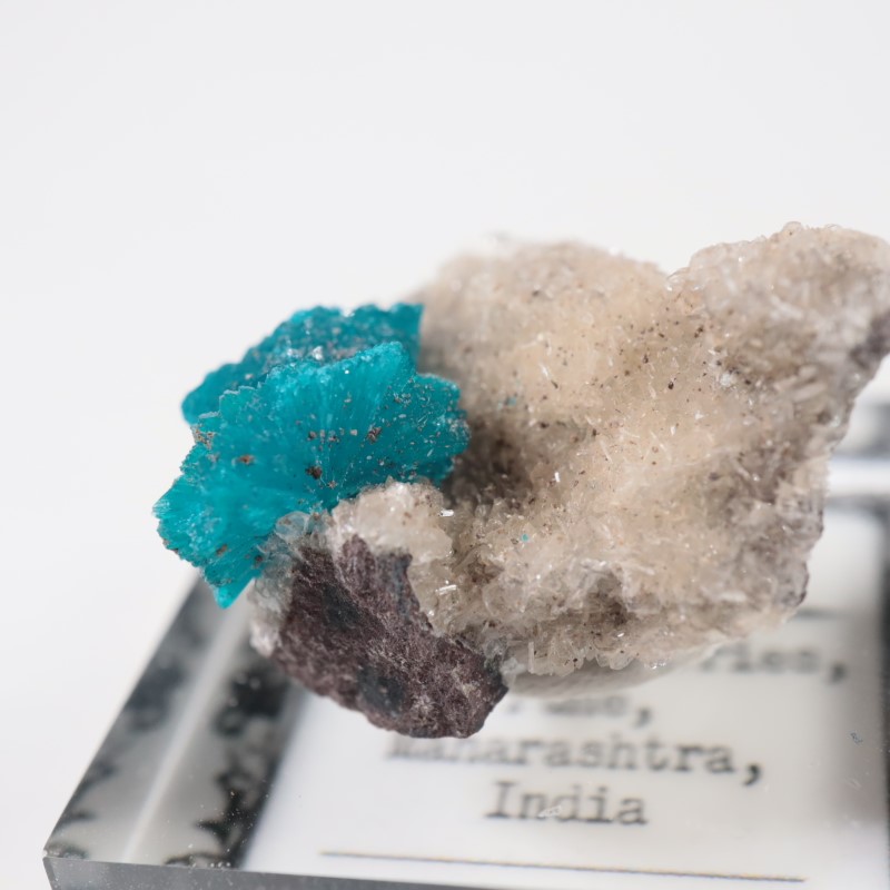 ����ɻ� ���Х󥵥���