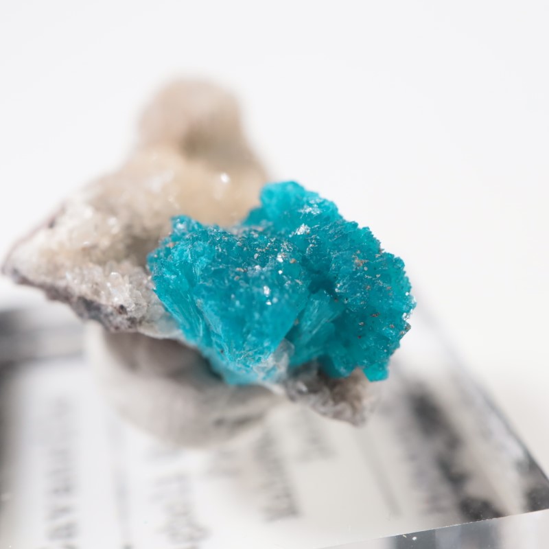 ����ɻ� ���Х󥵥���