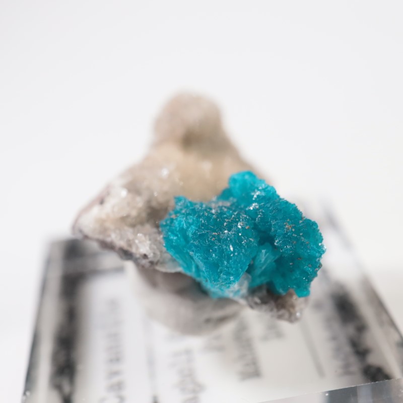 ����ɻ� ���Х󥵥���