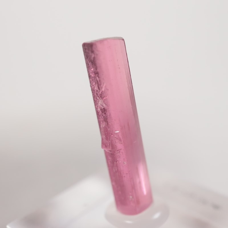 �֥饸�뻺 �ȥ�ޥ��