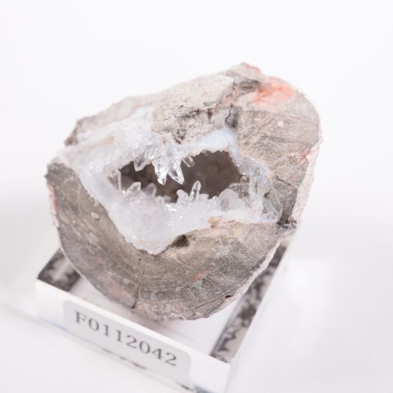 �楿���� ��������