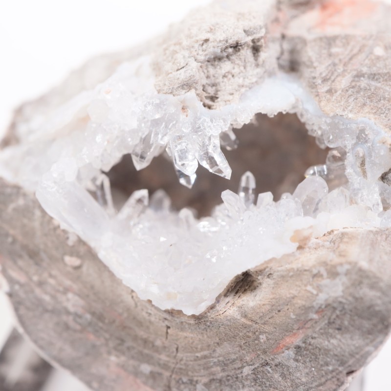 �楿���� ��������