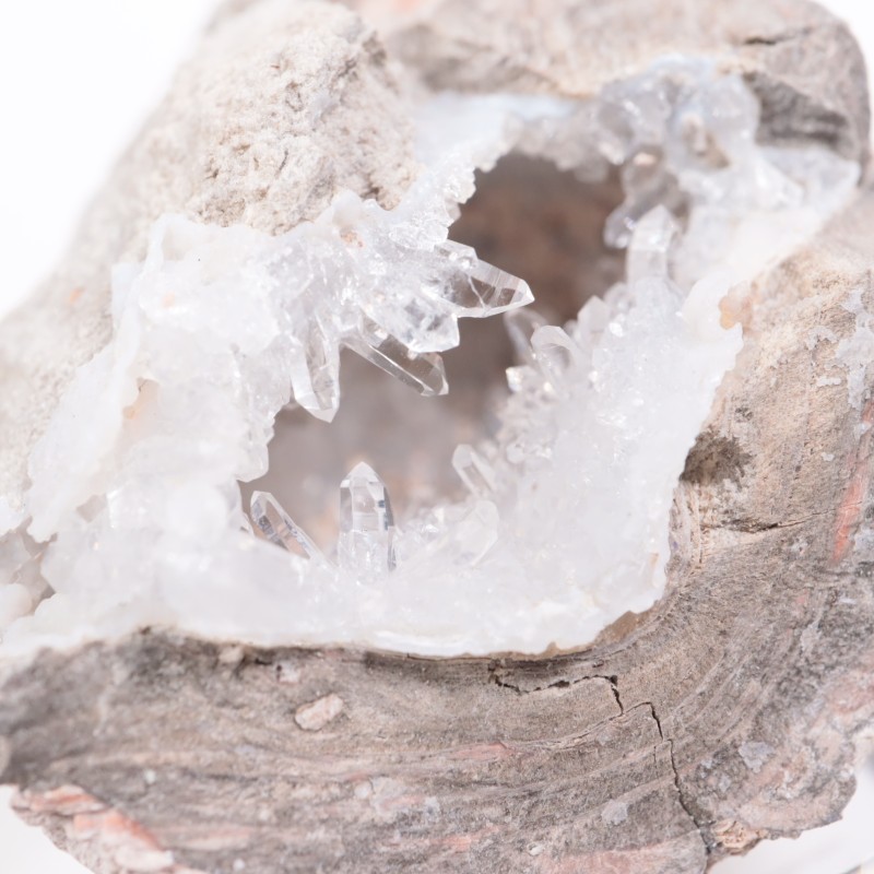 �楿���� ��������