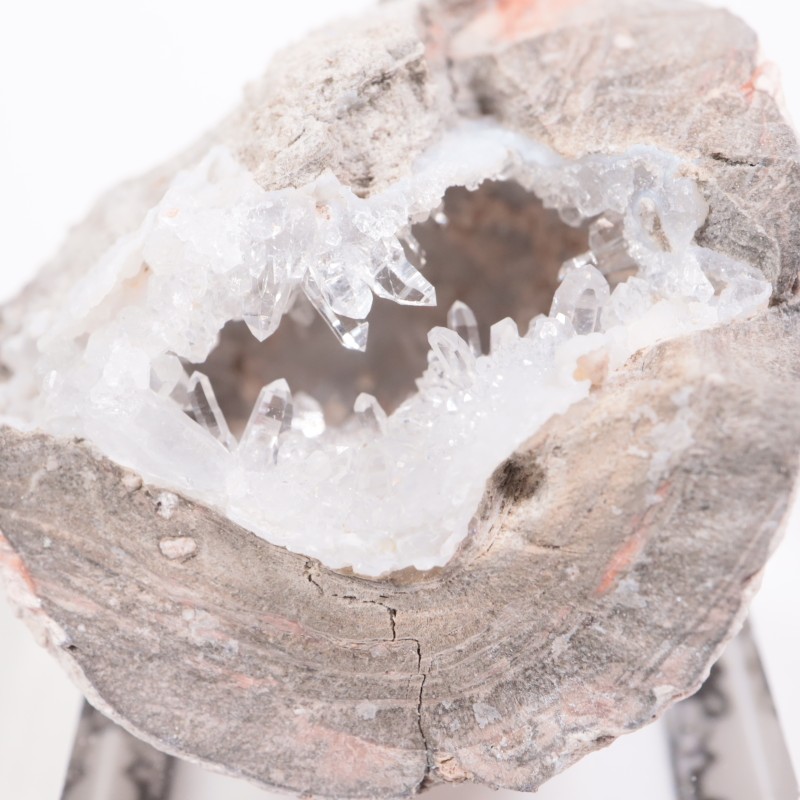 �楿���� ��������