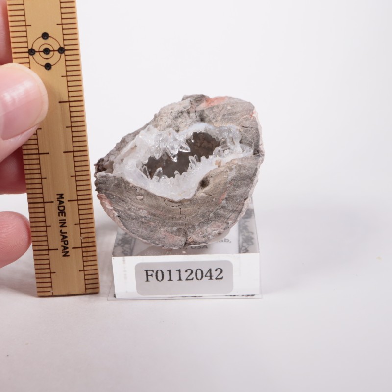 �楿���� ��������