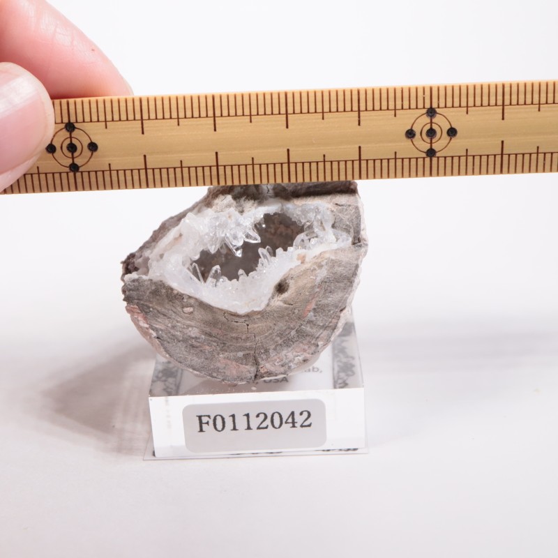 �楿���� ��������