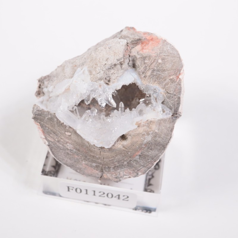 �楿���� ��������