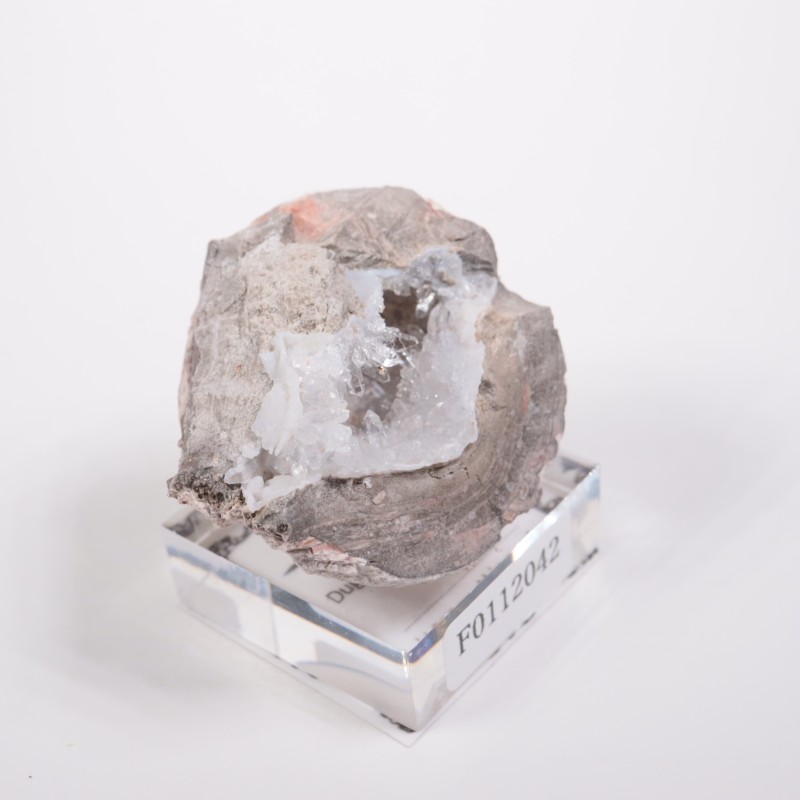 �楿���� ��������