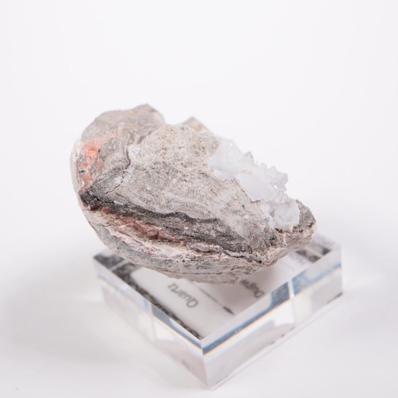 �楿���� ��������