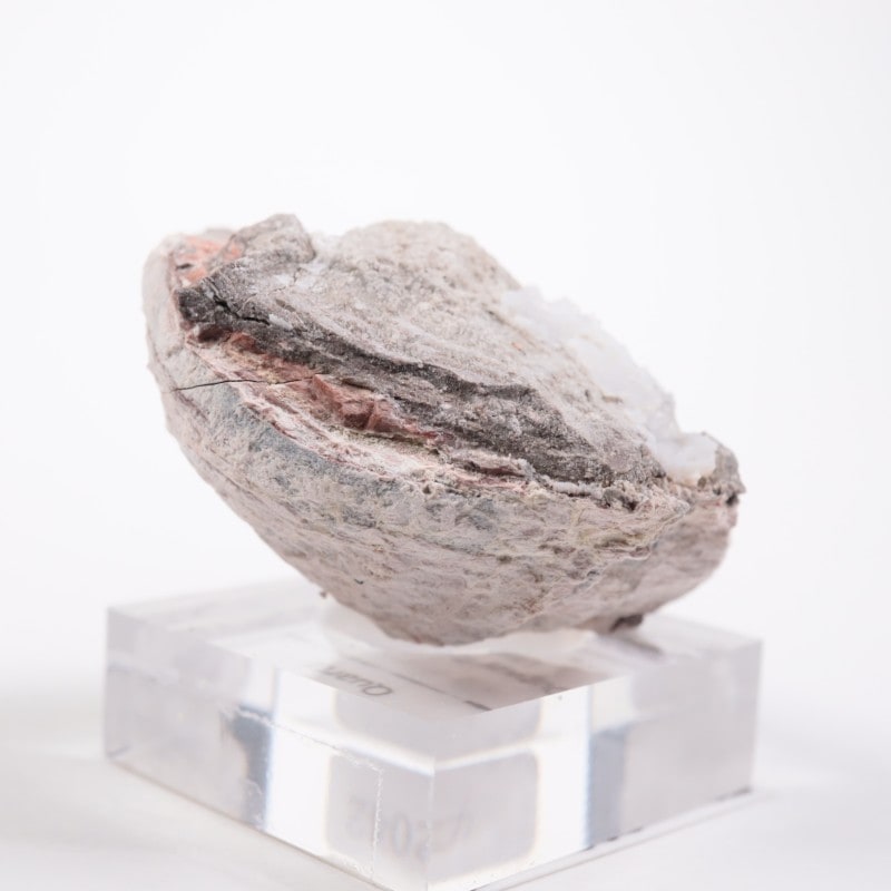 �楿���� ��������