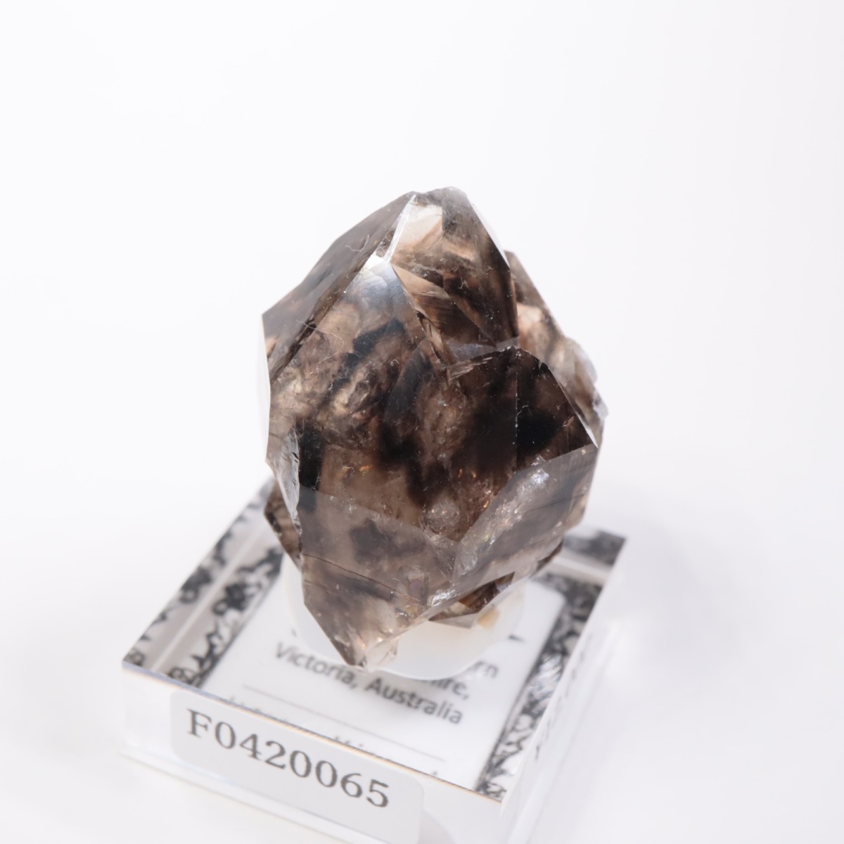 Mooralla�� ����徽