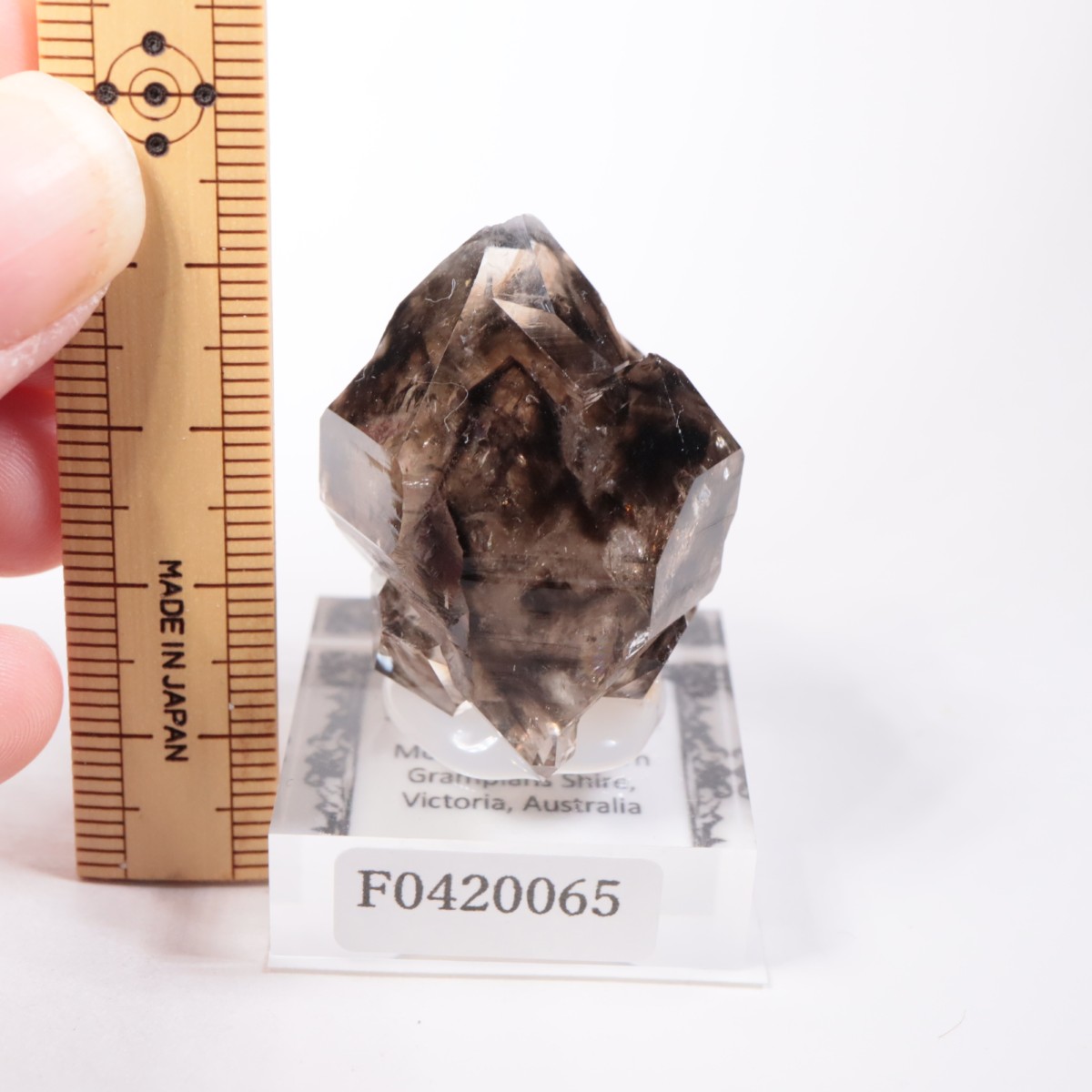 Mooralla�� ����徽