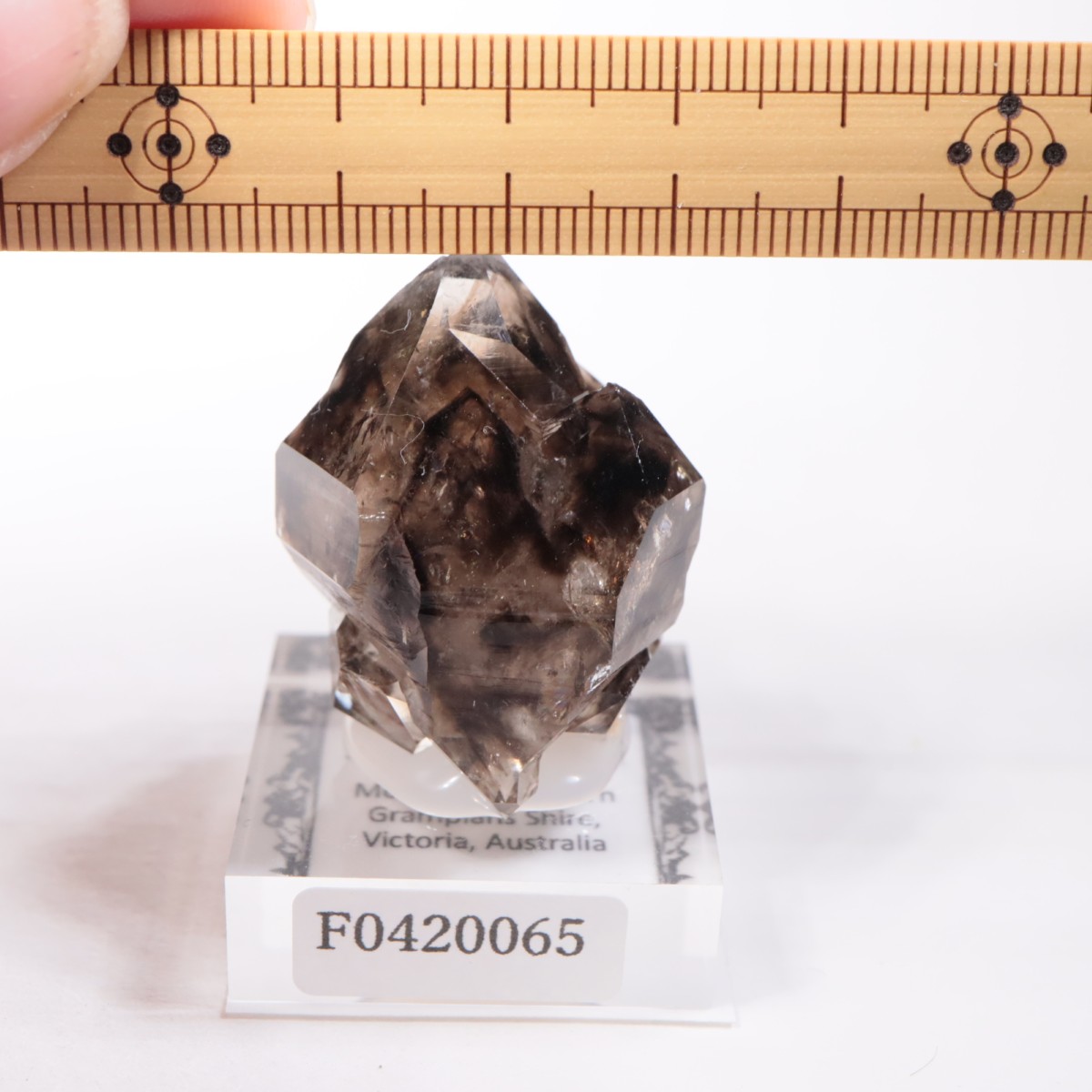 Mooralla�� ����徽