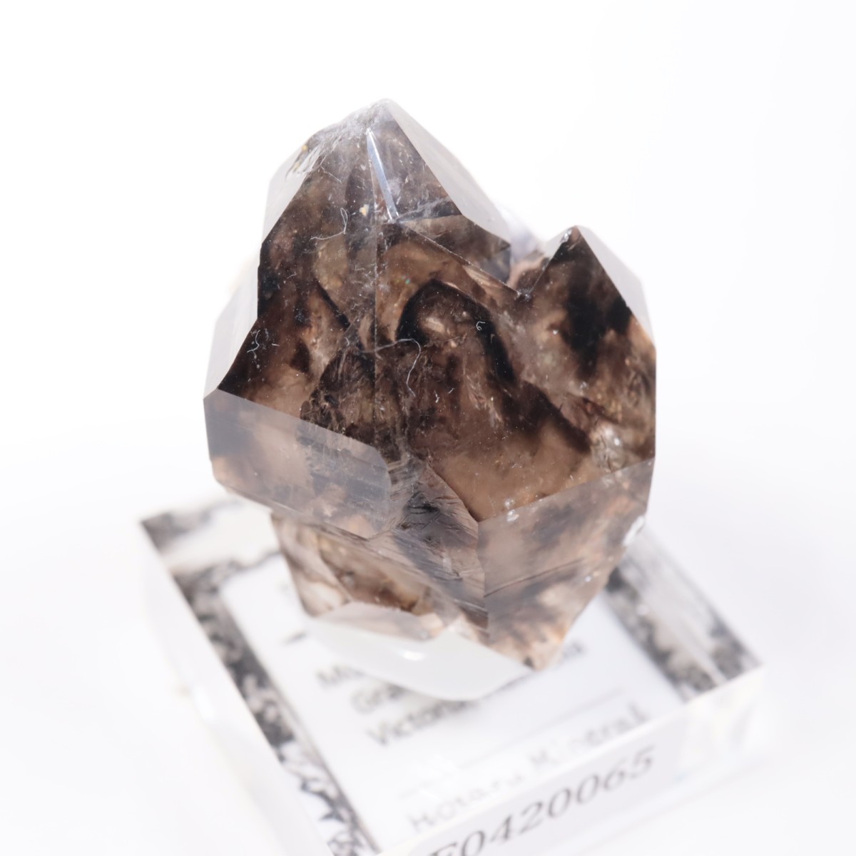 Mooralla�� ����徽