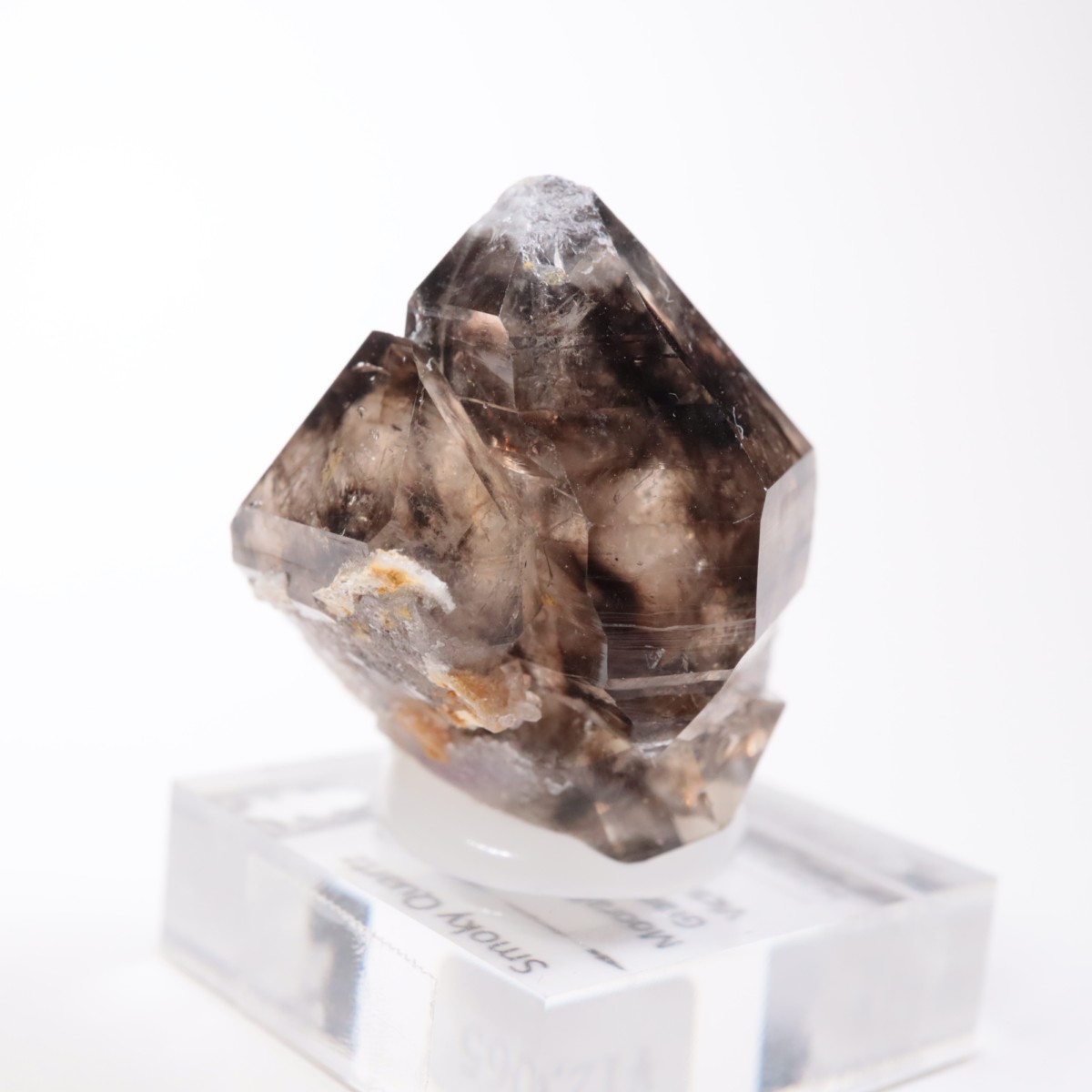 Mooralla�� ����徽