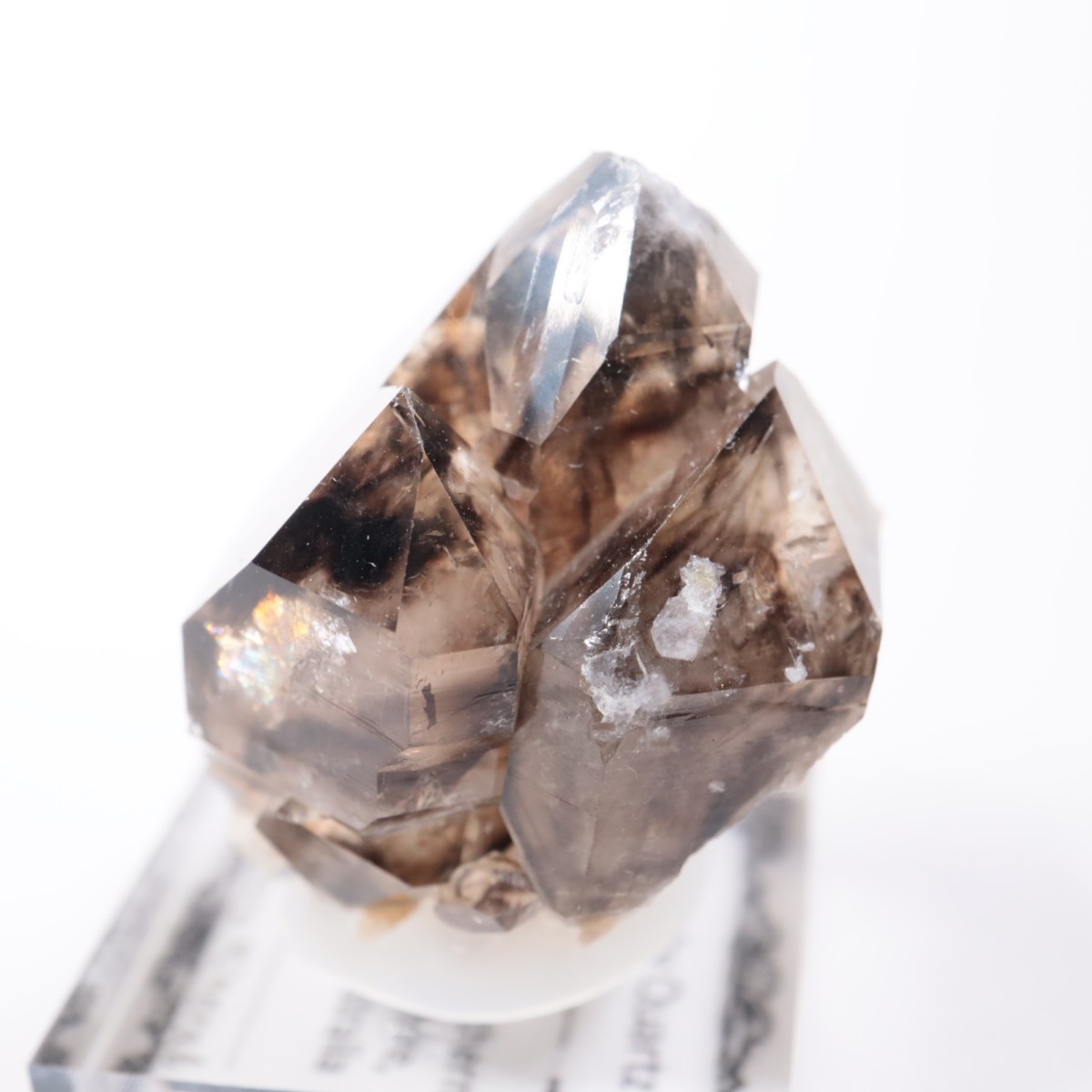 Mooralla�� ����徽