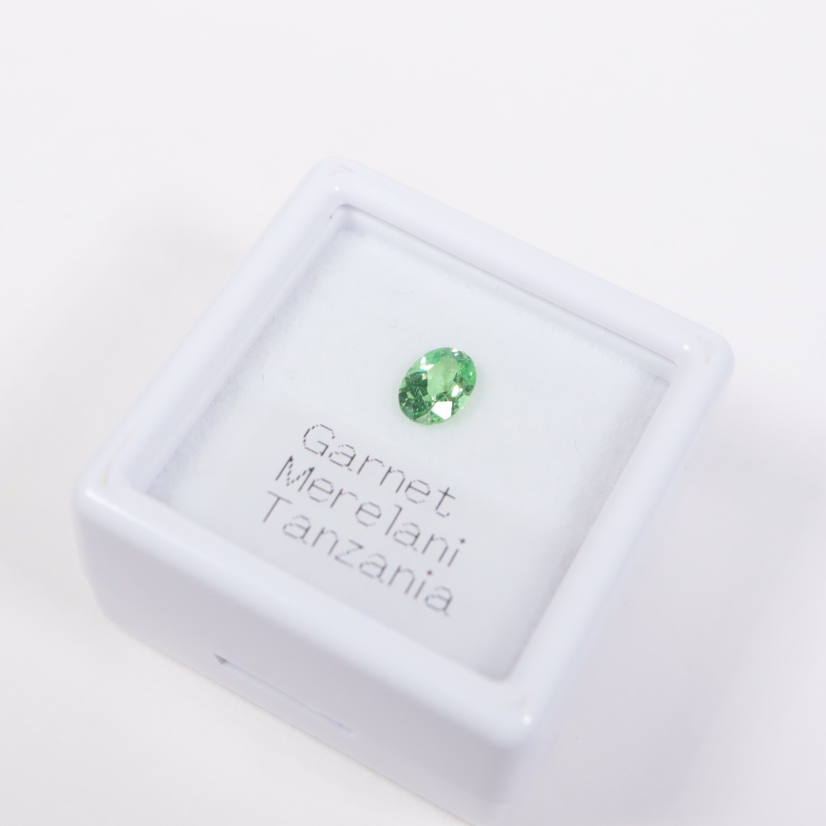 ���󥶥˥��� �����ͥå�