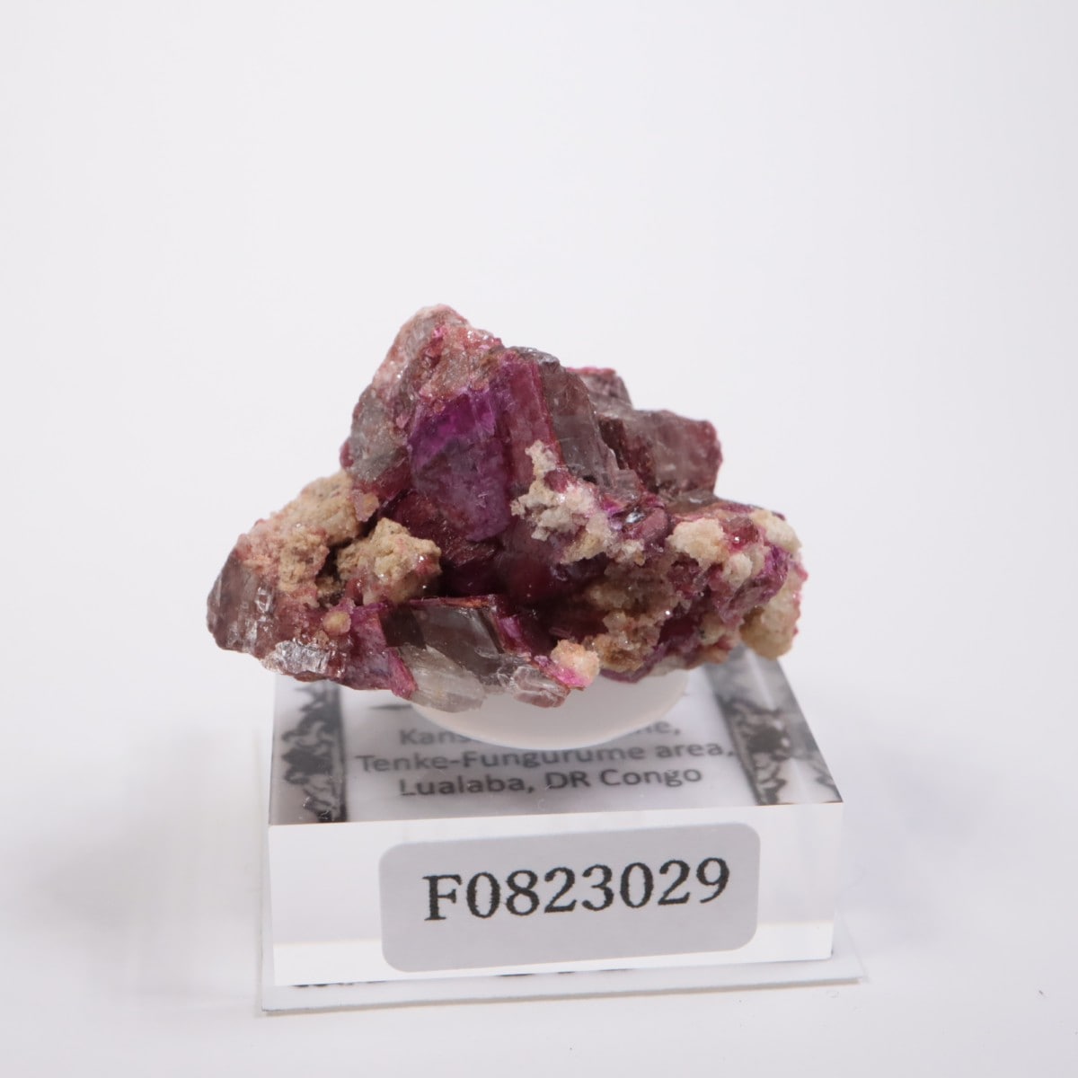 ���󥴻� ���Х�ȥɥ��ޥ���