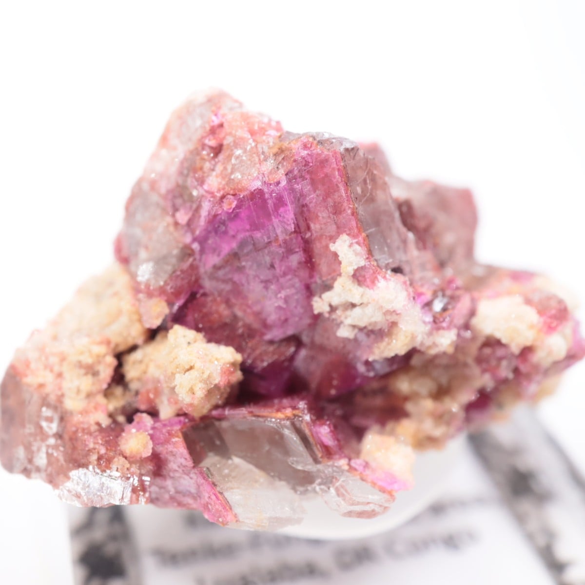 ���󥴻� ���Х�ȥɥ��ޥ���