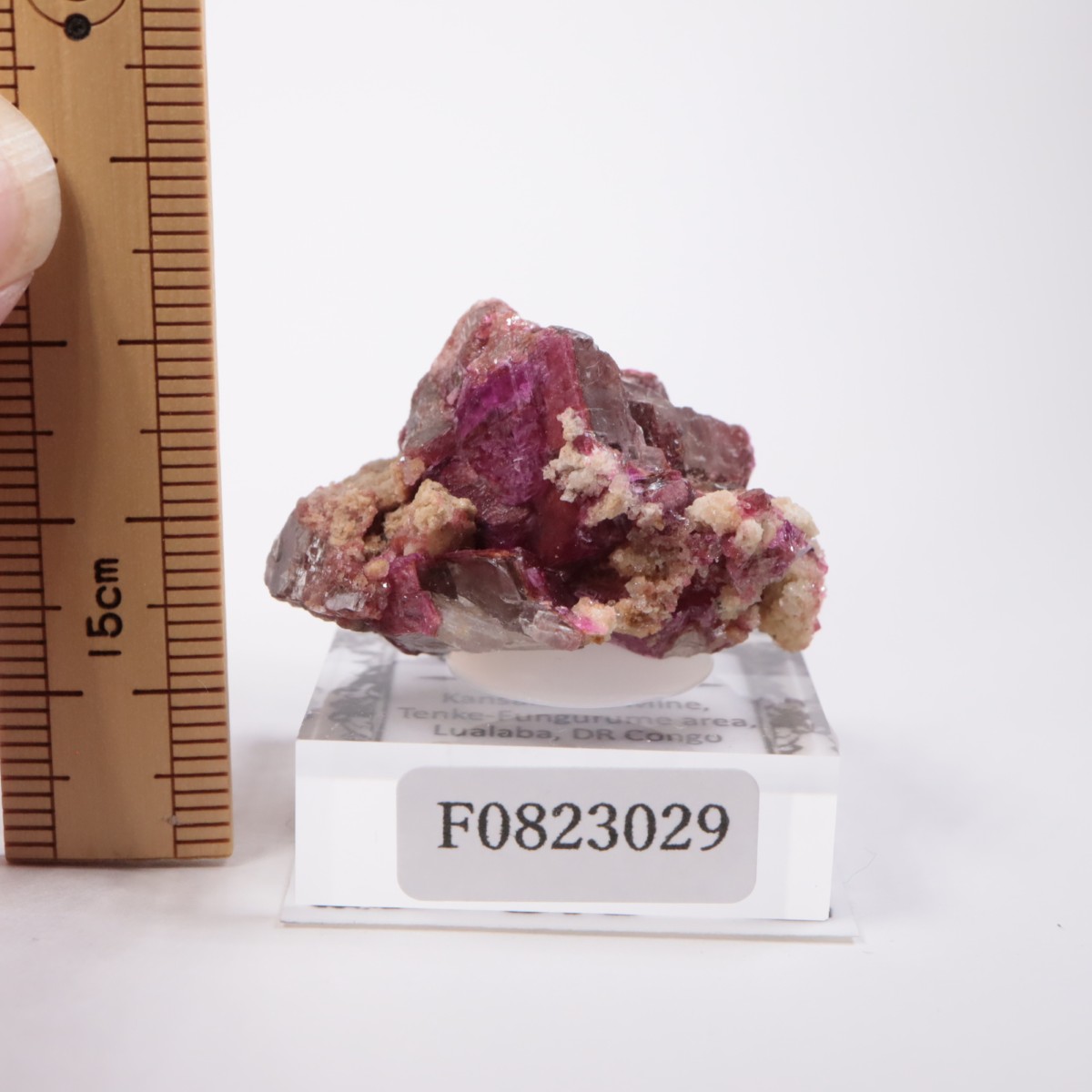 ���󥴻� ���Х�ȥɥ��ޥ���