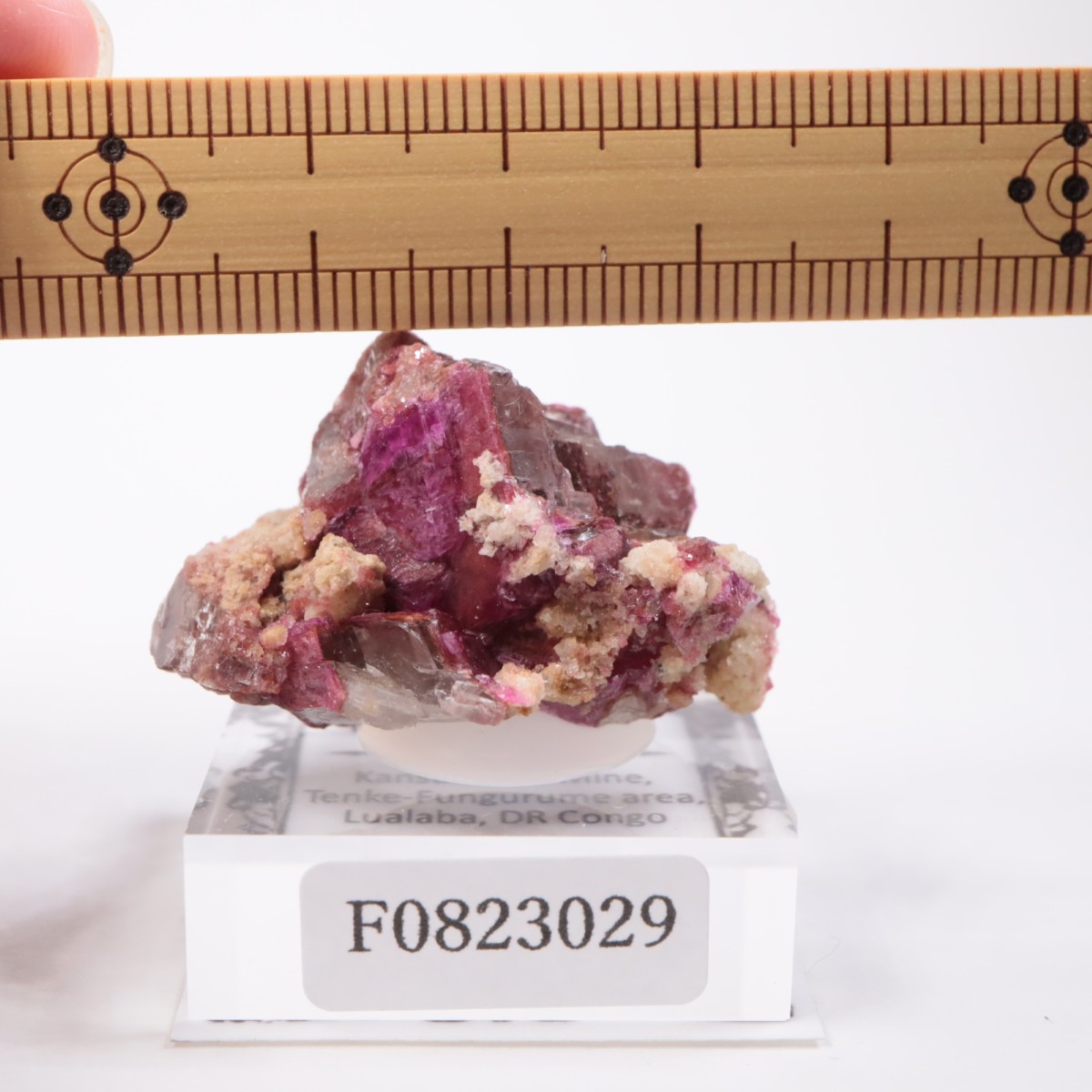 ���󥴻� ���Х�ȥɥ��ޥ���