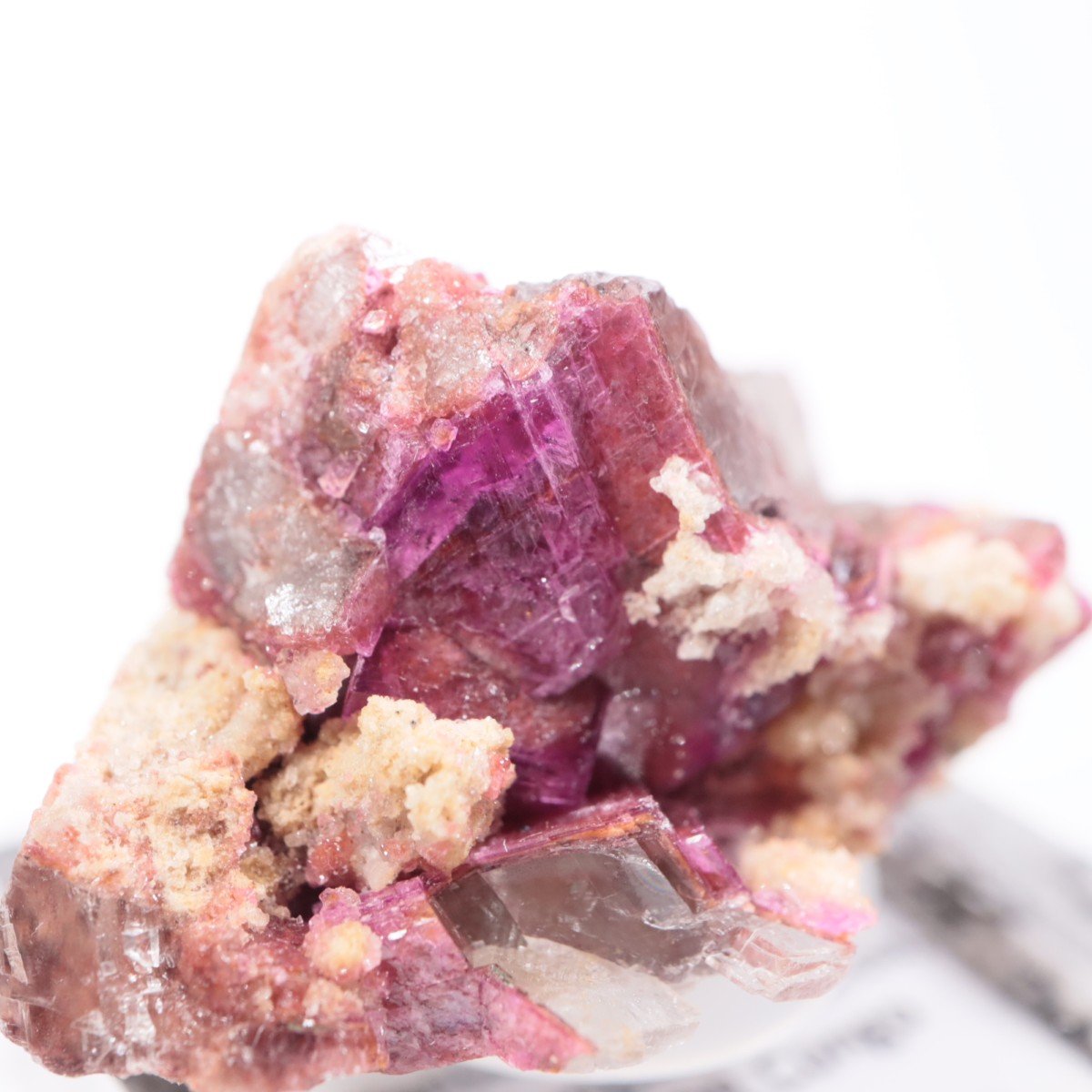 ���󥴻� ���Х�ȥɥ��ޥ���