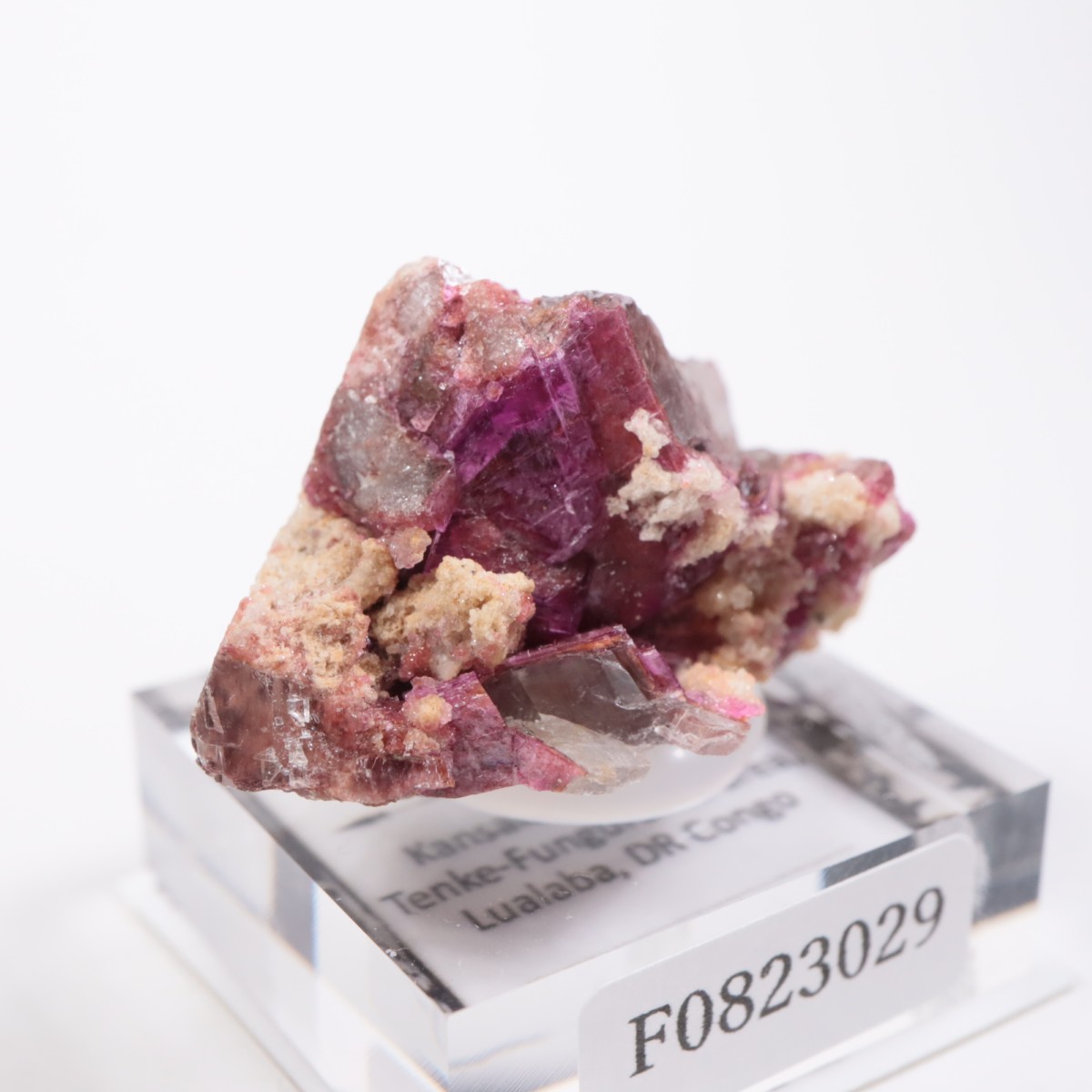 ���󥴻� ���Х�ȥɥ��ޥ���