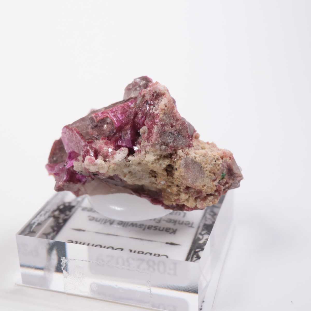 ���󥴻� ���Х�ȥɥ��ޥ���