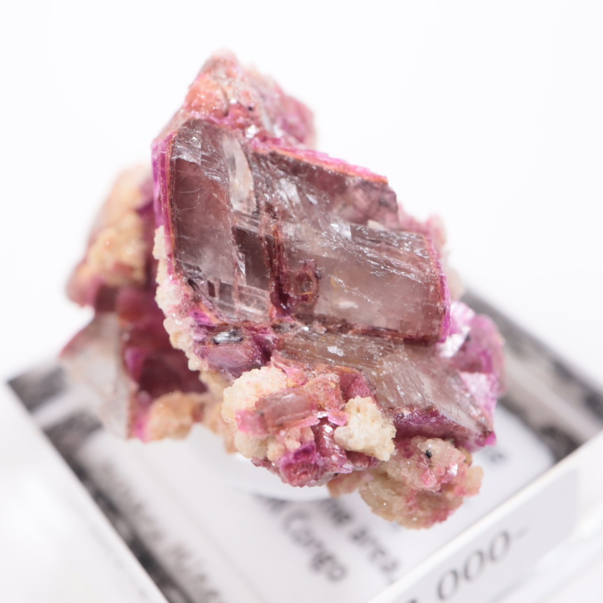 ���󥴻� ���Х�ȥɥ��ޥ���