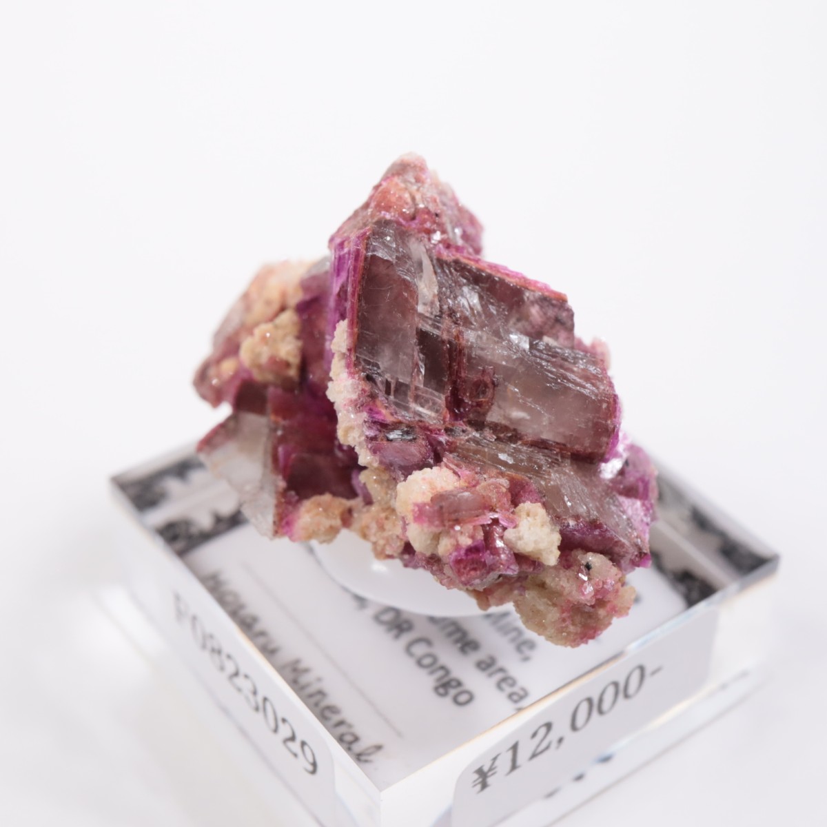 ���󥴻� ���Х�ȥɥ��ޥ���