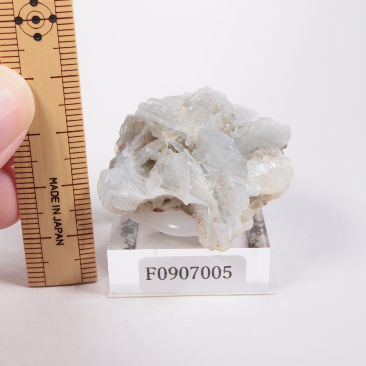 ���ڥ��� �Х饤��