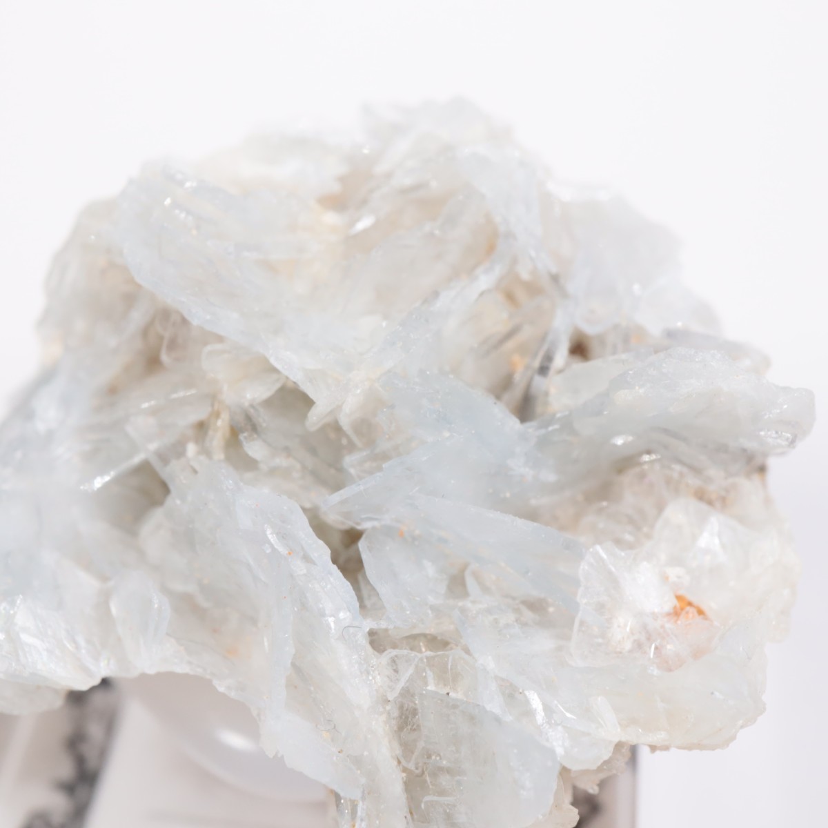 ���ڥ��� �Х饤��