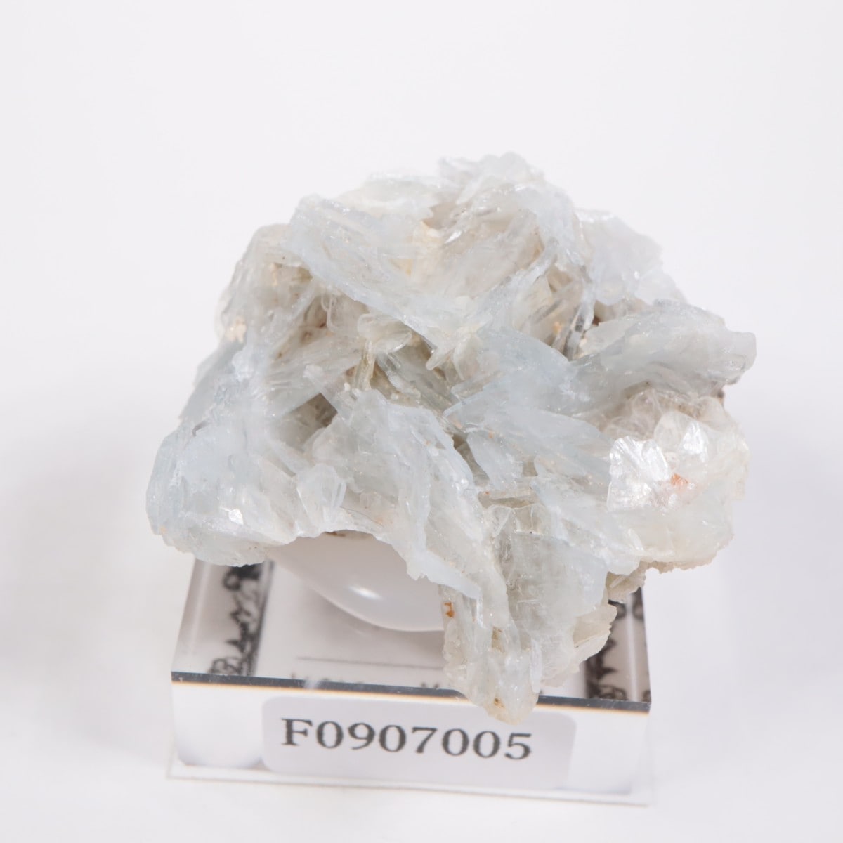 ���ڥ��� �Х饤��