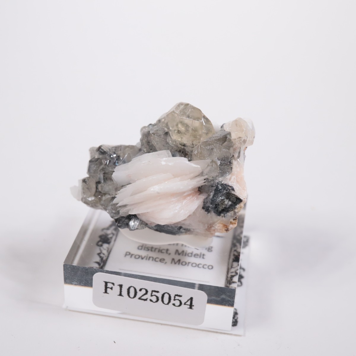 ����å��� ���륵����