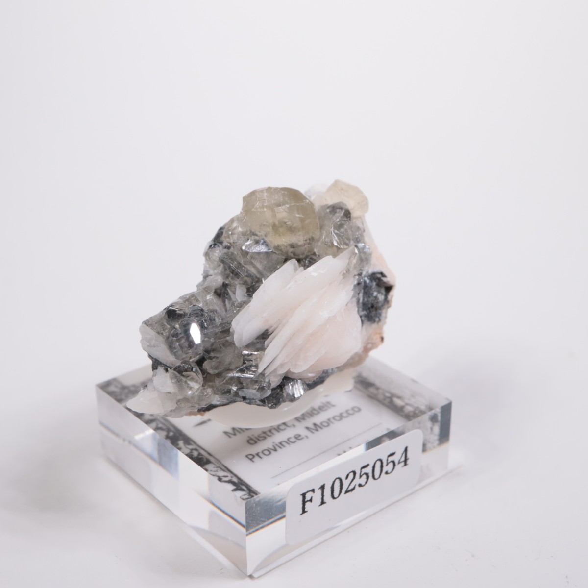 ����å��� ���륵����