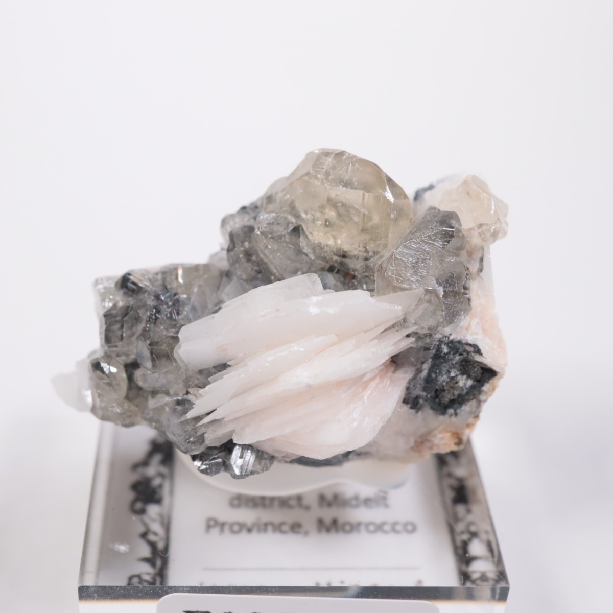 ����å��� ���륵����