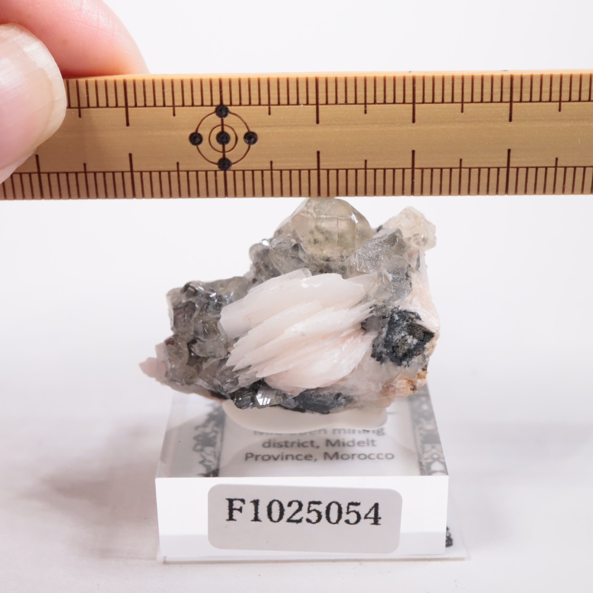 ����å��� ���륵����