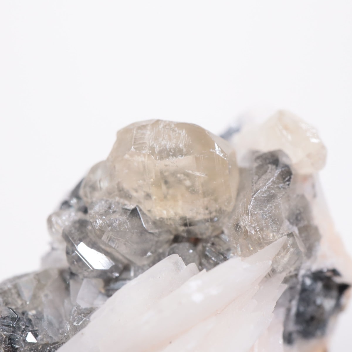 ����å��� ���륵����