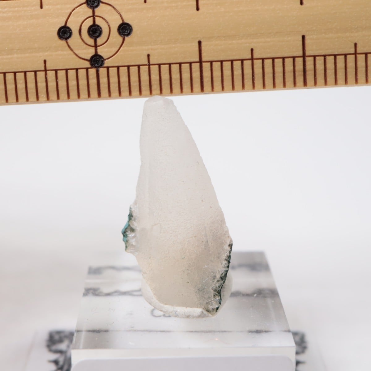 ����ɻ� ���륵����