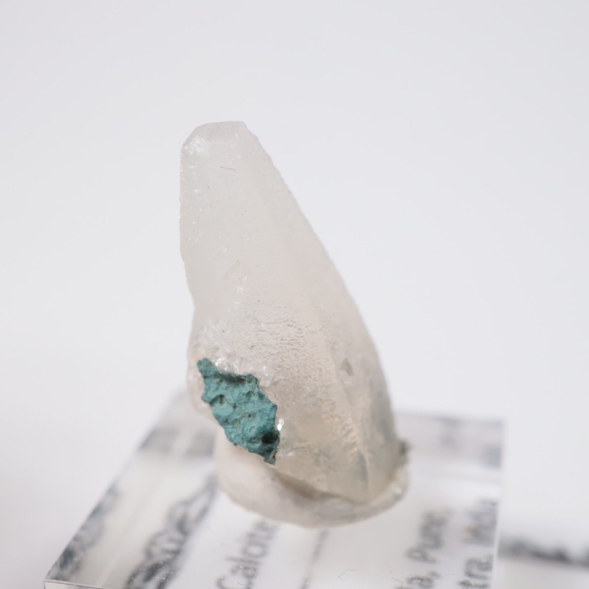 ����ɻ� ���륵����