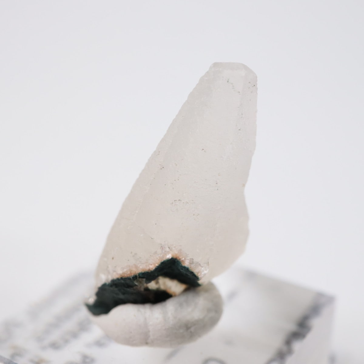 ����ɻ� ���륵����