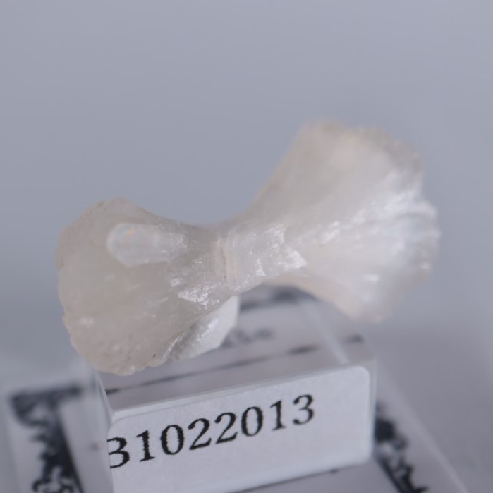 ����ɻ������ƥ���Х��ȡʥܥ�������