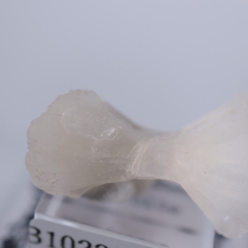 ����ɻ������ƥ���Х��ȡʥܥ�������