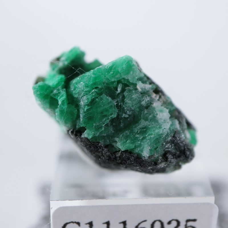 エメラルド様　複数購入④ エメラルド0.233ct】【F064】 – POCKET BY KISHUN 公式