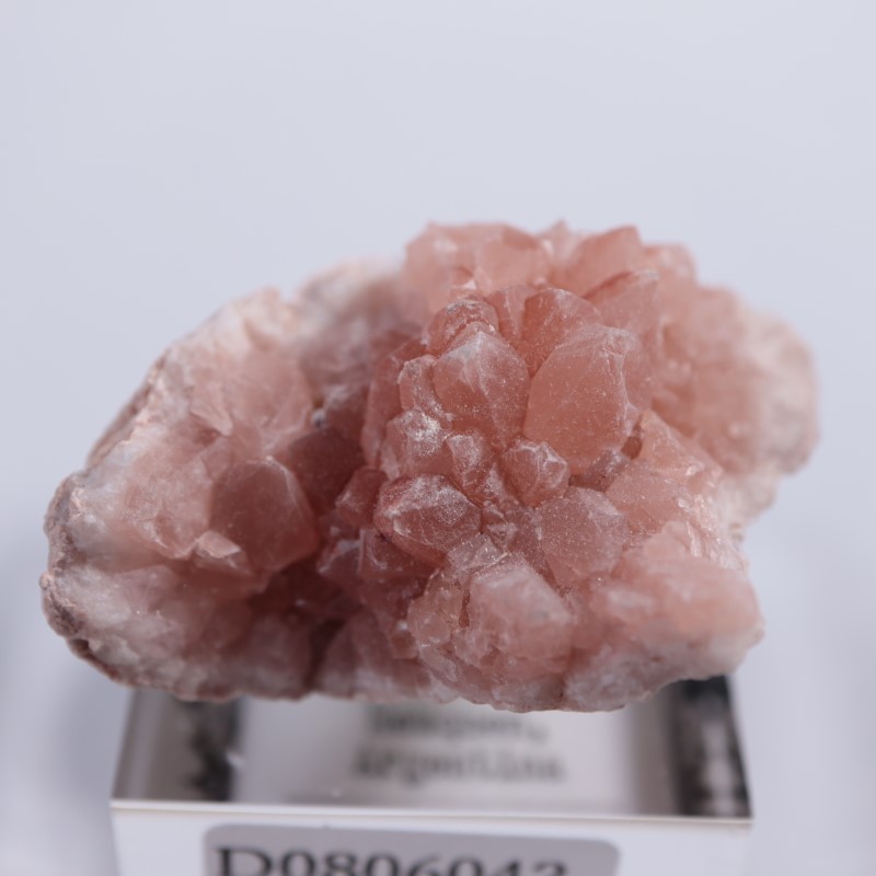 ���를����󻺡��ԥ󥯥�������