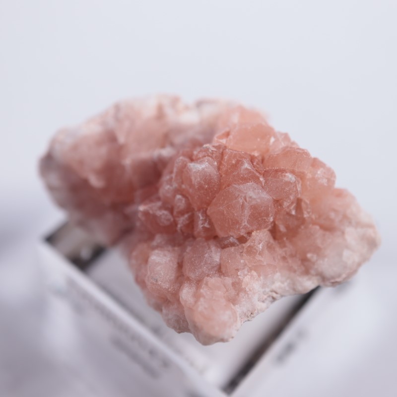 ���를����󻺡��ԥ󥯥�������