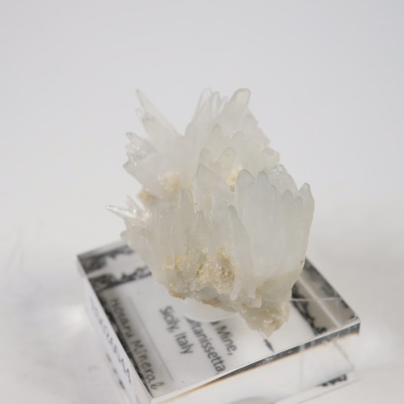 �����ꥢ�������쥹�ƥ���